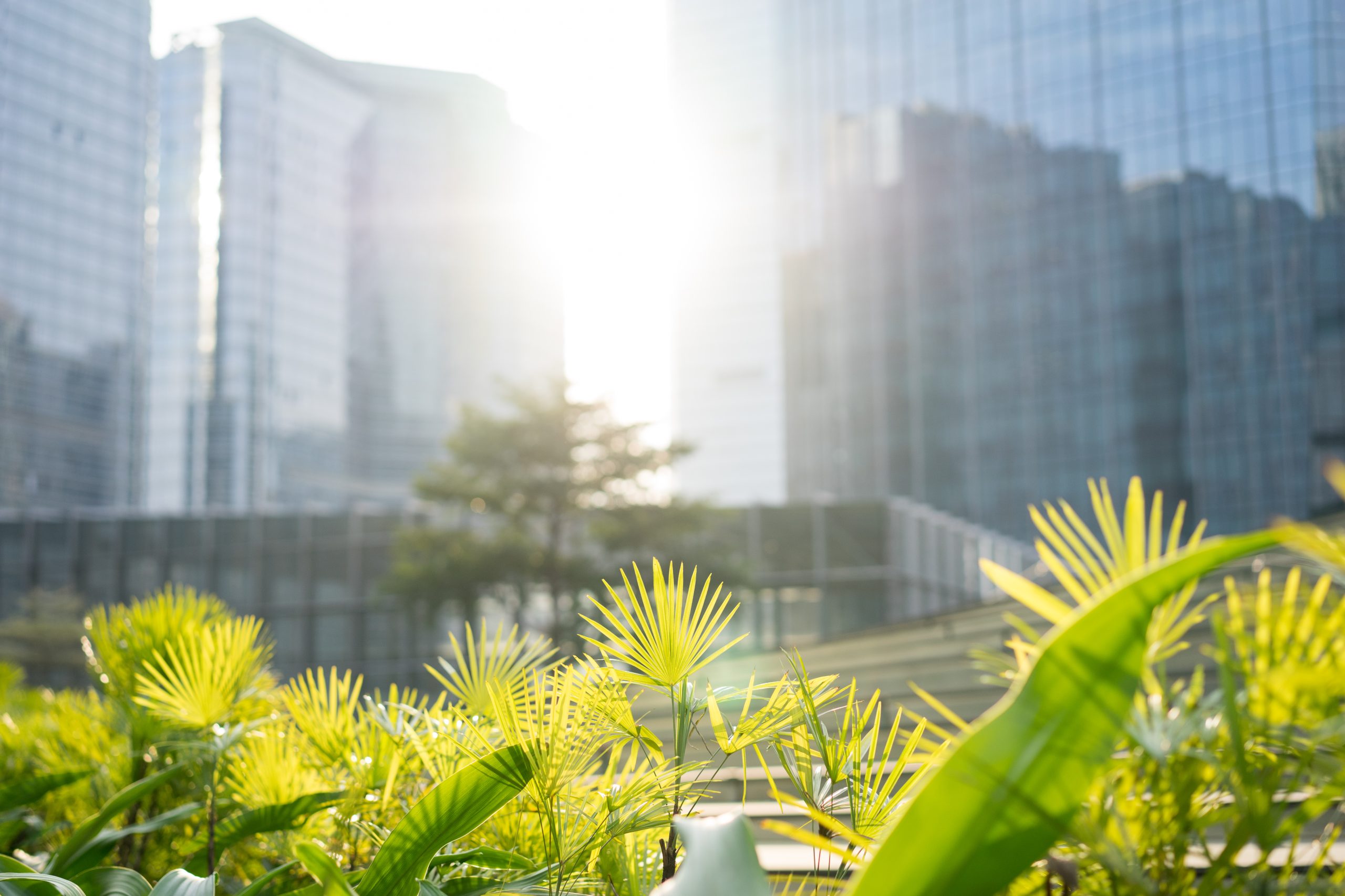 Read more about the article Ką reikėtų žinoti apie ,,Green Claims” direktyvą?