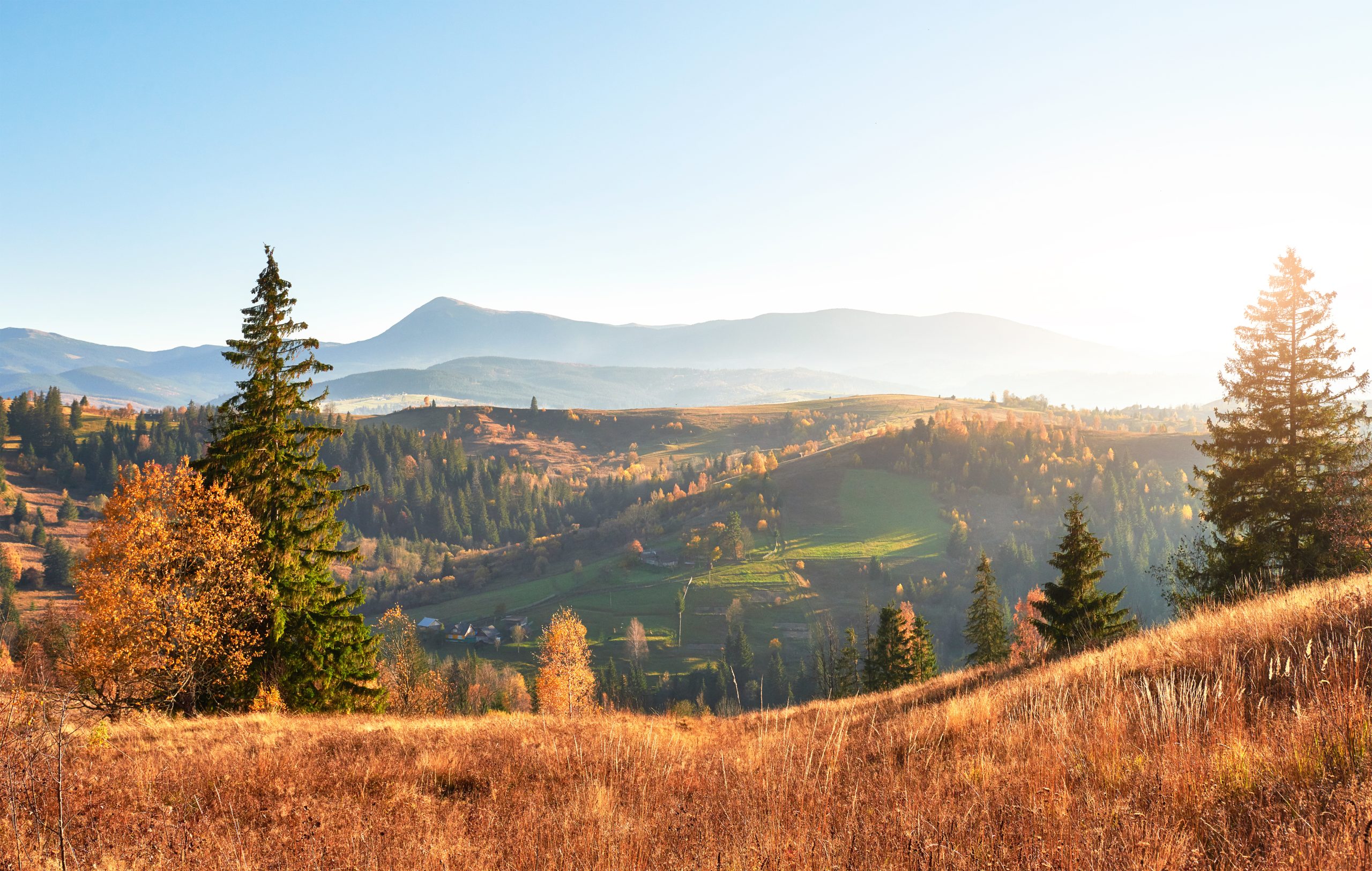 Read more about the article TOP 20 tinklalaidžių apie tvarumą