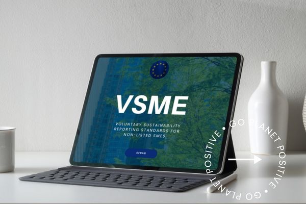 Read more about the article Savanoriškas tvarumo atskleidimas – kodėl vis daugiau įmonių renkasi VSME (MVĮ STAS) standartą?